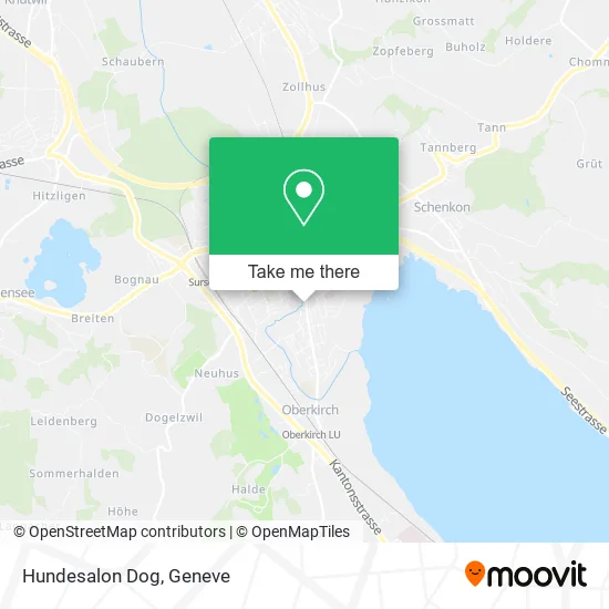 Hundesalon Dog plan