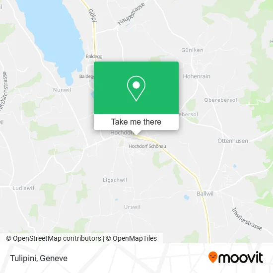 Tulipini map