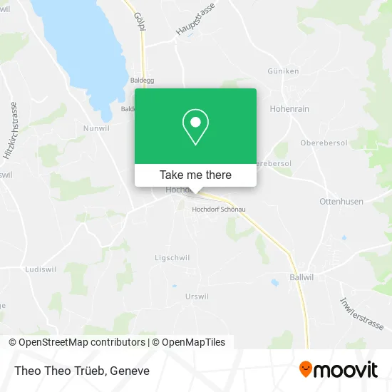 Theo Theo Trüeb map
