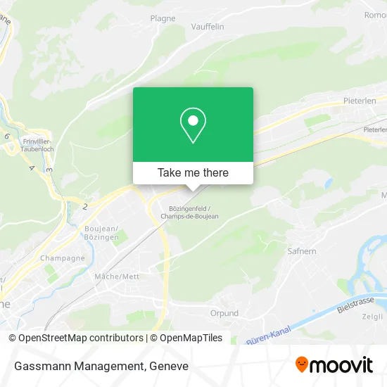 Gassmann Management map