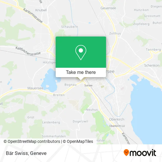 Bär Swiss map