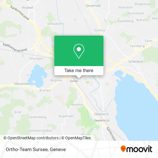 Ortho-Team Sursee map