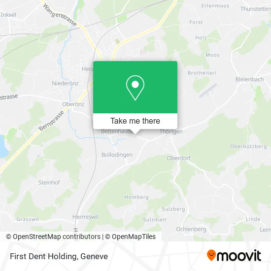 First Dent Holding plan