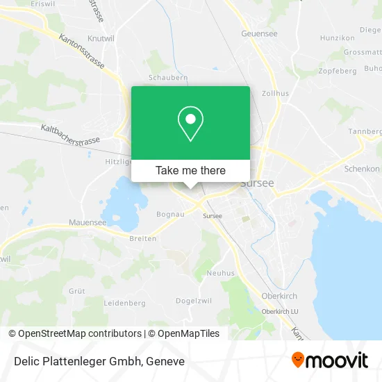 Delic Plattenleger Gmbh map