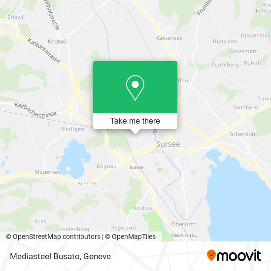 Mediasteel Busato map