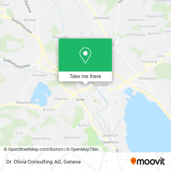 Dr. Olivia Consulting AG map