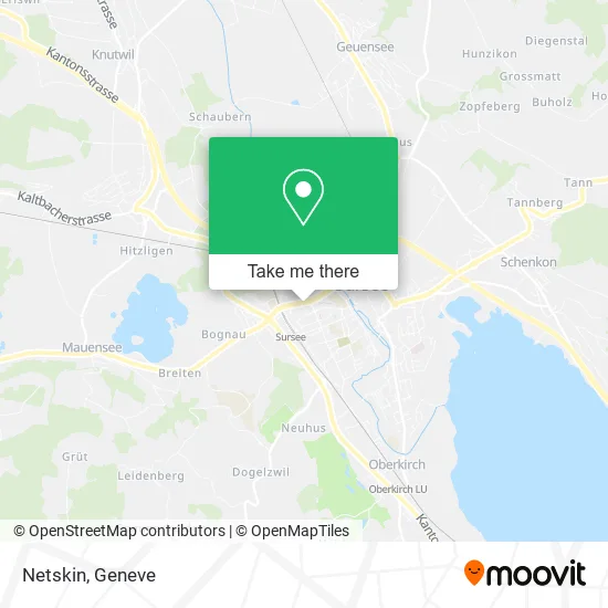 Netskin map
