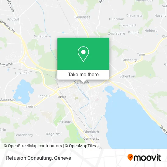 Refusion Consulting plan