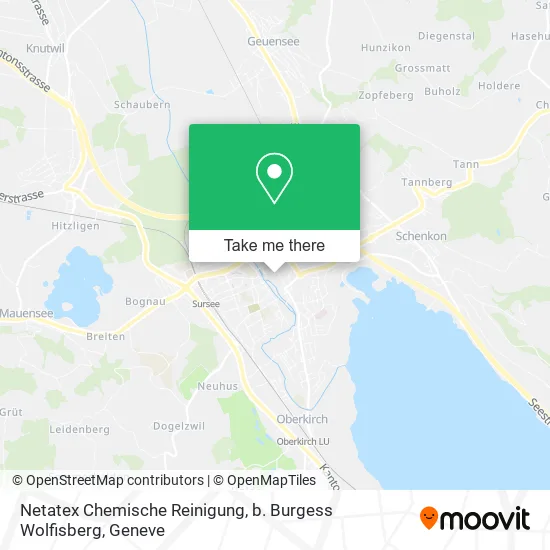 Netatex Chemische Reinigung, b. Burgess Wolfisberg map