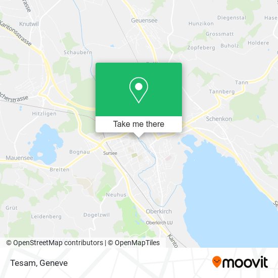 Tesam map