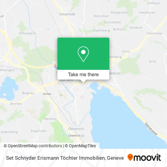 Set Schnyder Erismann Töchter Immobilien map