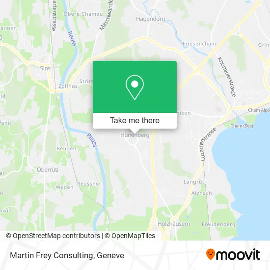 Martin Frey Consulting plan