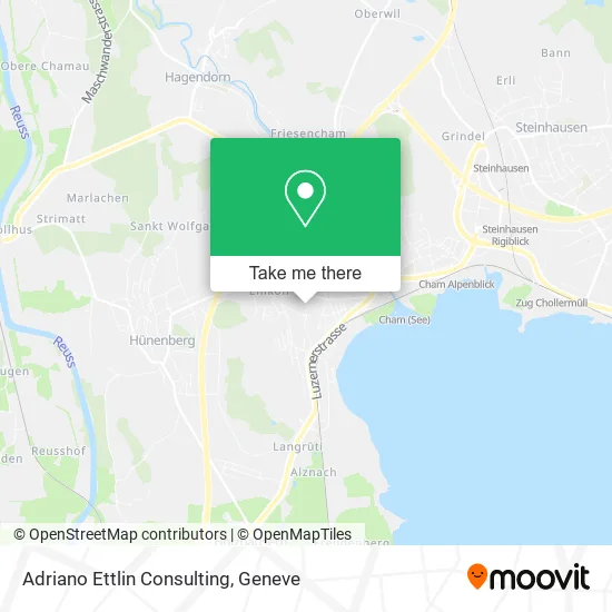 Adriano Ettlin Consulting plan