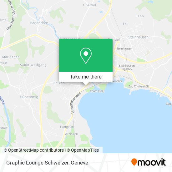 Graphic Lounge Schweizer map
