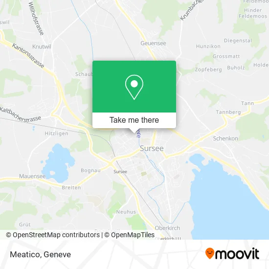 Meatico map