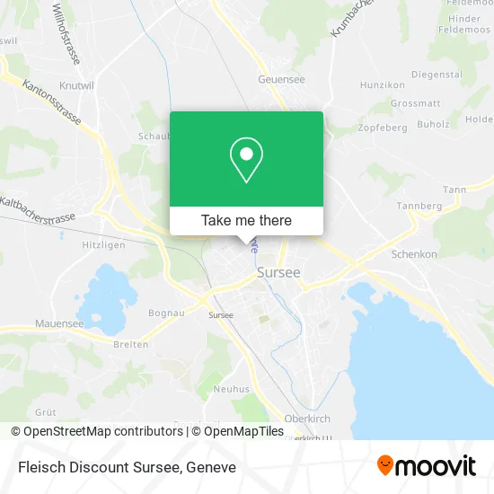 Fleisch Discount Sursee plan