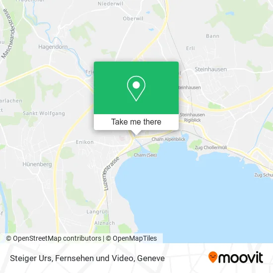 Steiger Urs, Fernsehen und Video map