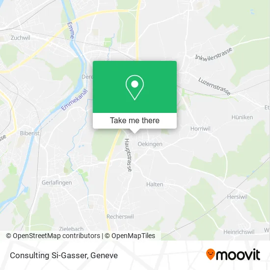 Consulting Si-Gasser map