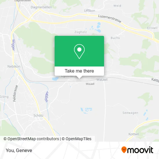 You map