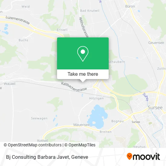 Bj Consulting Barbara Javet plan