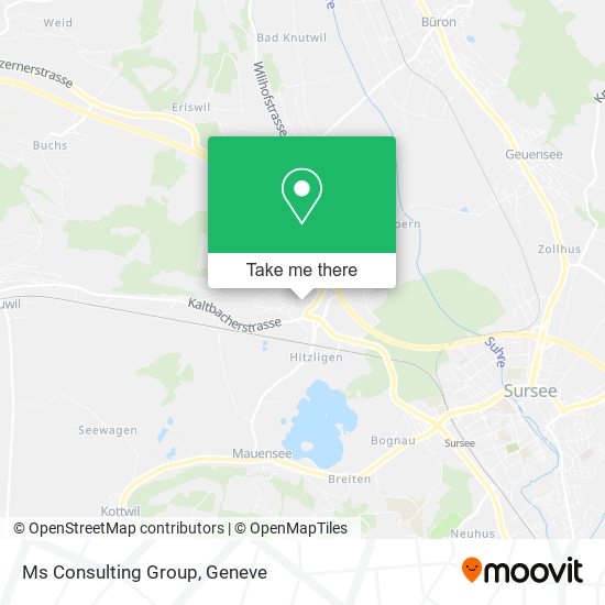 Ms Consulting Group map