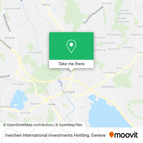Ineichen International Investments Holding plan