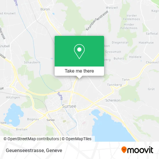 Geuenseestrasse map