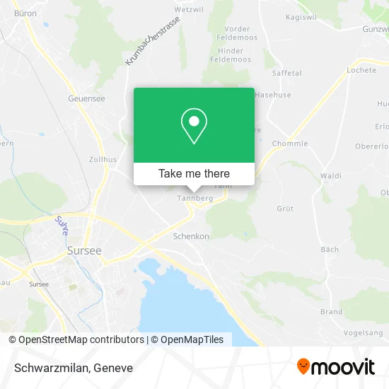 Schwarzmilan map
