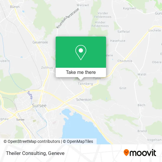 Theiler Consulting map