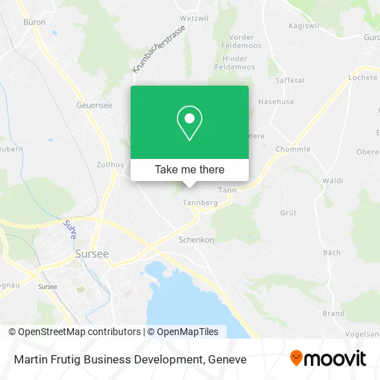 Martin Frutig Business Development plan