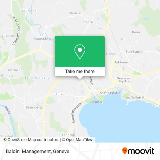 Baldini Management map