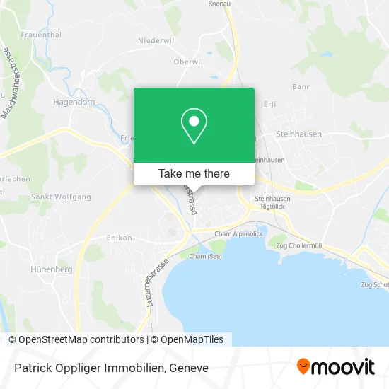 Patrick Oppliger Immobilien map