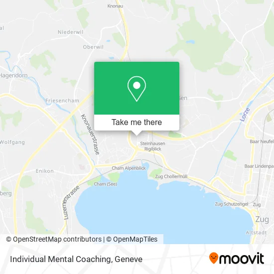 Individual Mental Coaching map