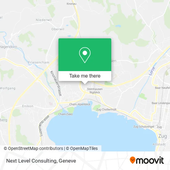 Next Level Consulting plan