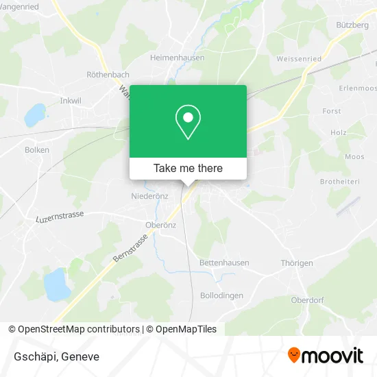 Gschäpi plan