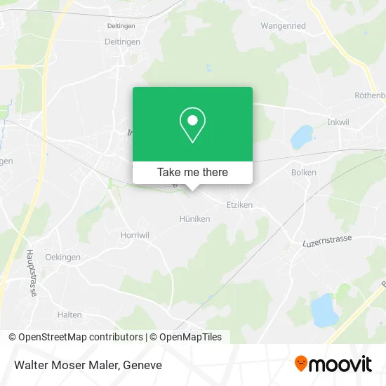 Walter Moser Maler map