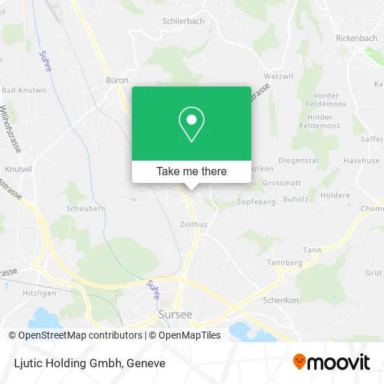 Ljutic Holding Gmbh map