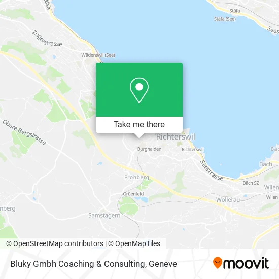 Bluky Gmbh Coaching & Consulting plan