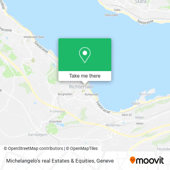 Michelangelo's real Estates & Equities map