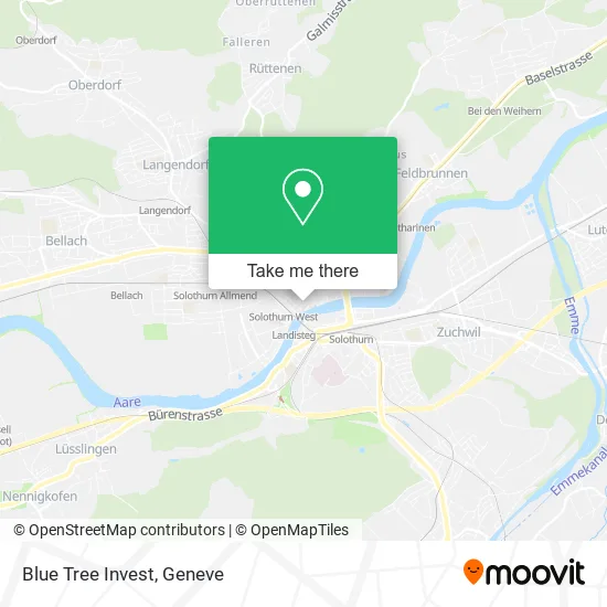 Blue Tree Invest map