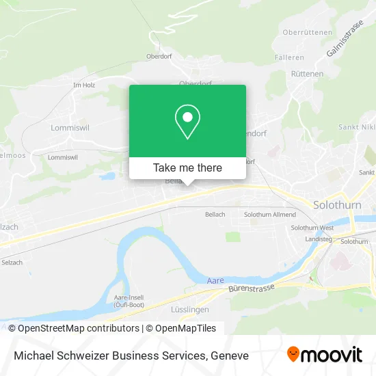 Michael Schweizer Business Services plan