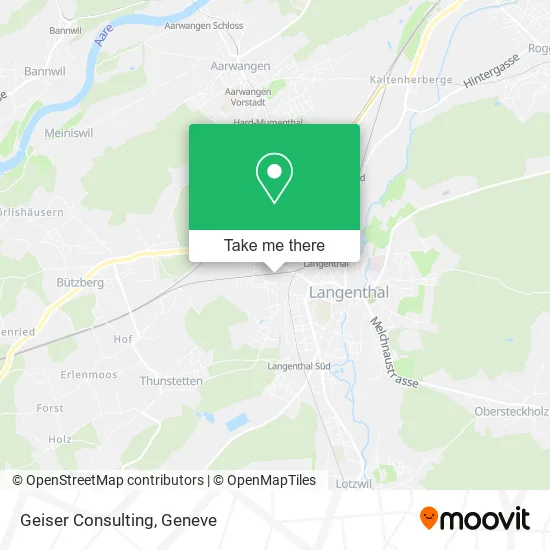 Geiser Consulting plan