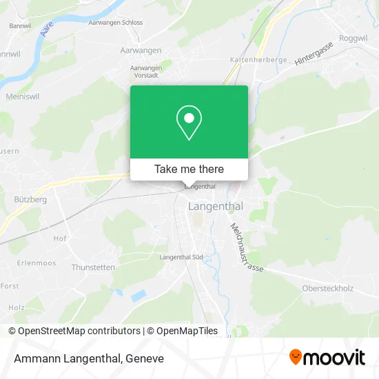 Ammann Langenthal map