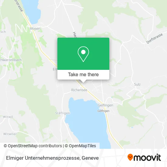 Elmiger Unternehmensprozesse map