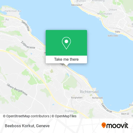 Beeboss Korkut plan