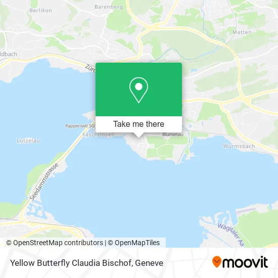 Yellow Butterfly Claudia Bischof map