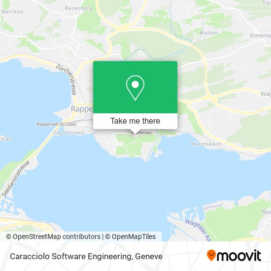 Caracciolo Software Engineering map