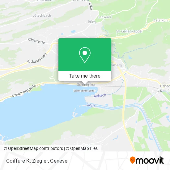 Coiffure K. Ziegler map