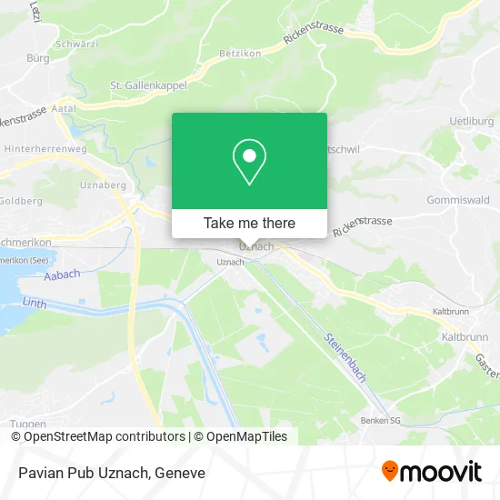 Pavian Pub Uznach map