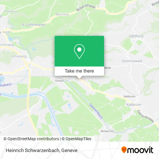 Heinrich Schwarzenbach map